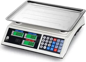 Electronic Scales 30kg/1g High Precision Weighing Scale