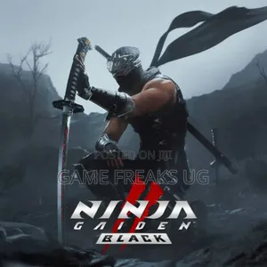 Ninja Gaiden Black Pc Game