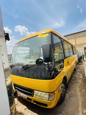 Mitsubishi Fuso Rosa 2010 Yellow