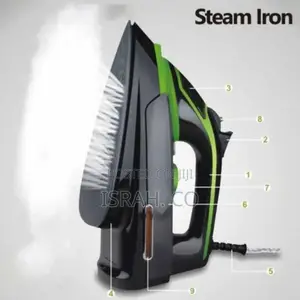 Brand Steam Iron
