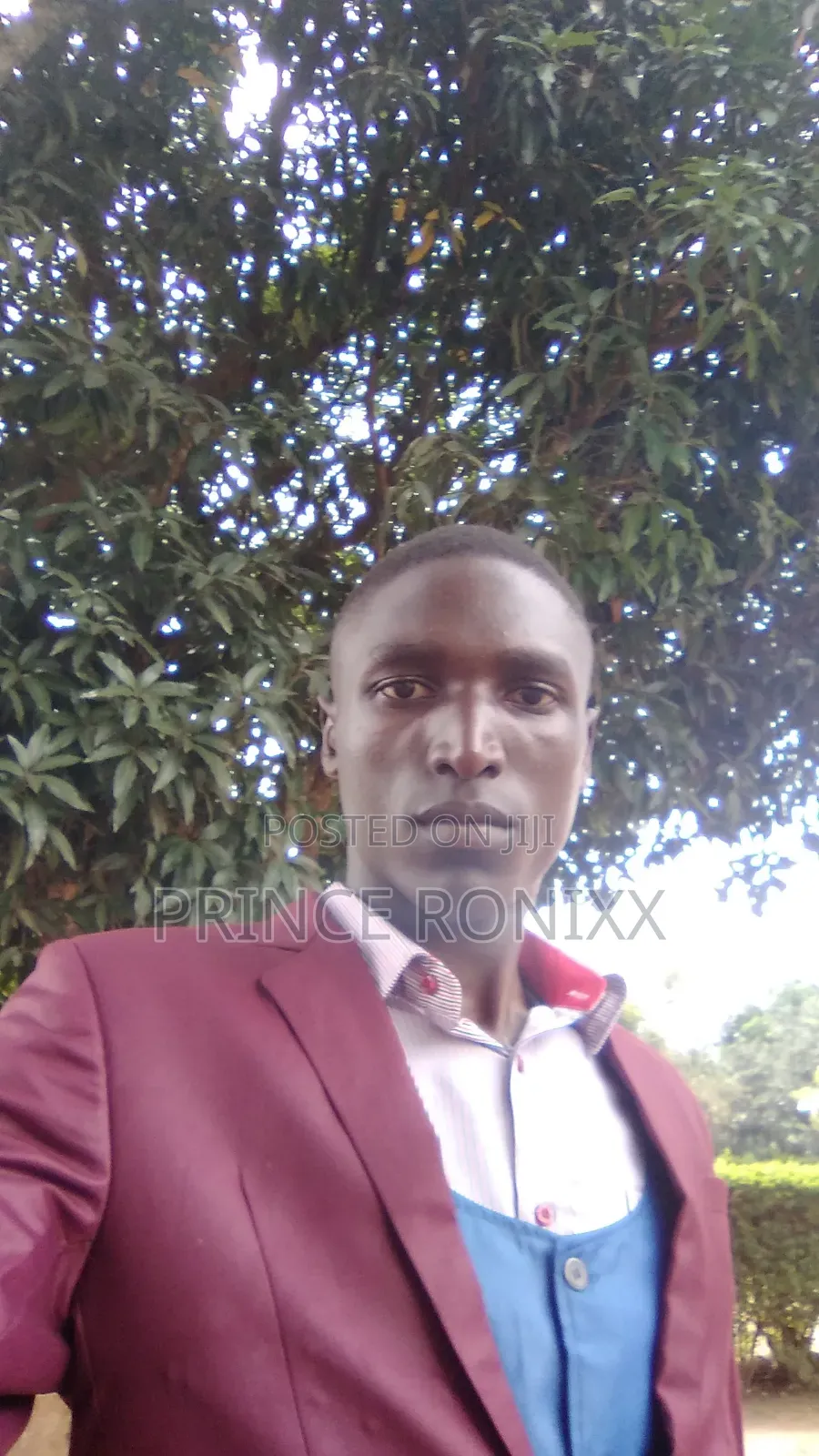 Looking for a Job