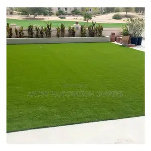 Turf Grass Carpet