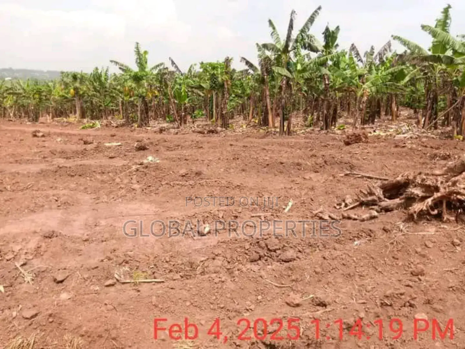 Namugongo Plot for Sale