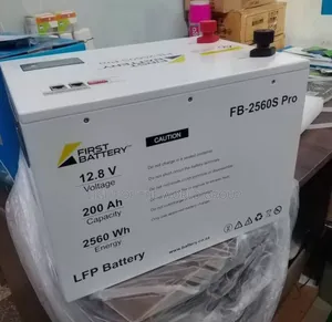 Heavy Duty Lithium Batteries