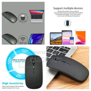 Wireless Silent Mouse for Various Software