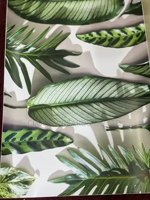 Laptop Skins