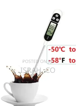 Digital Food Thermometer