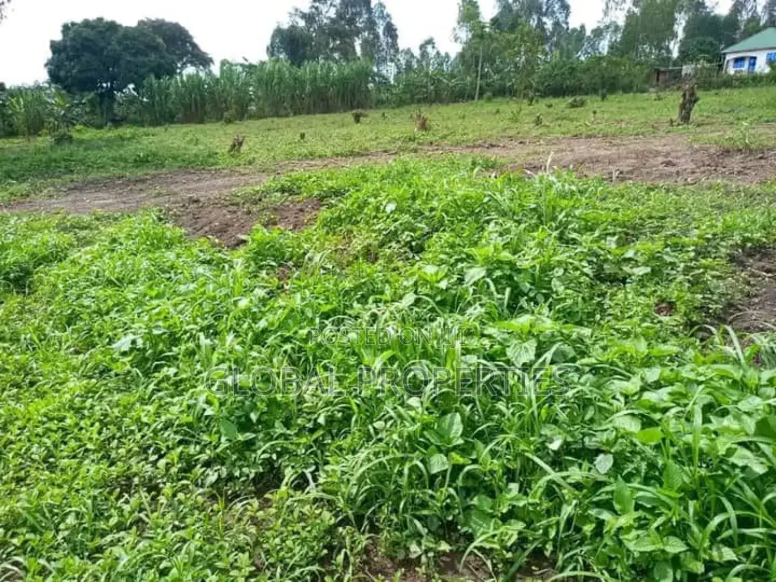 Wakiso Plot for Sale