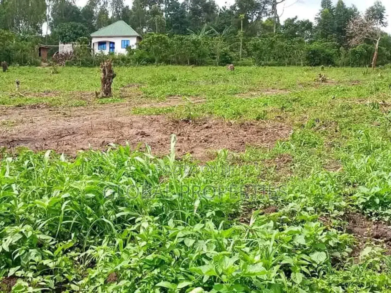 Wakiso Plot for Sale