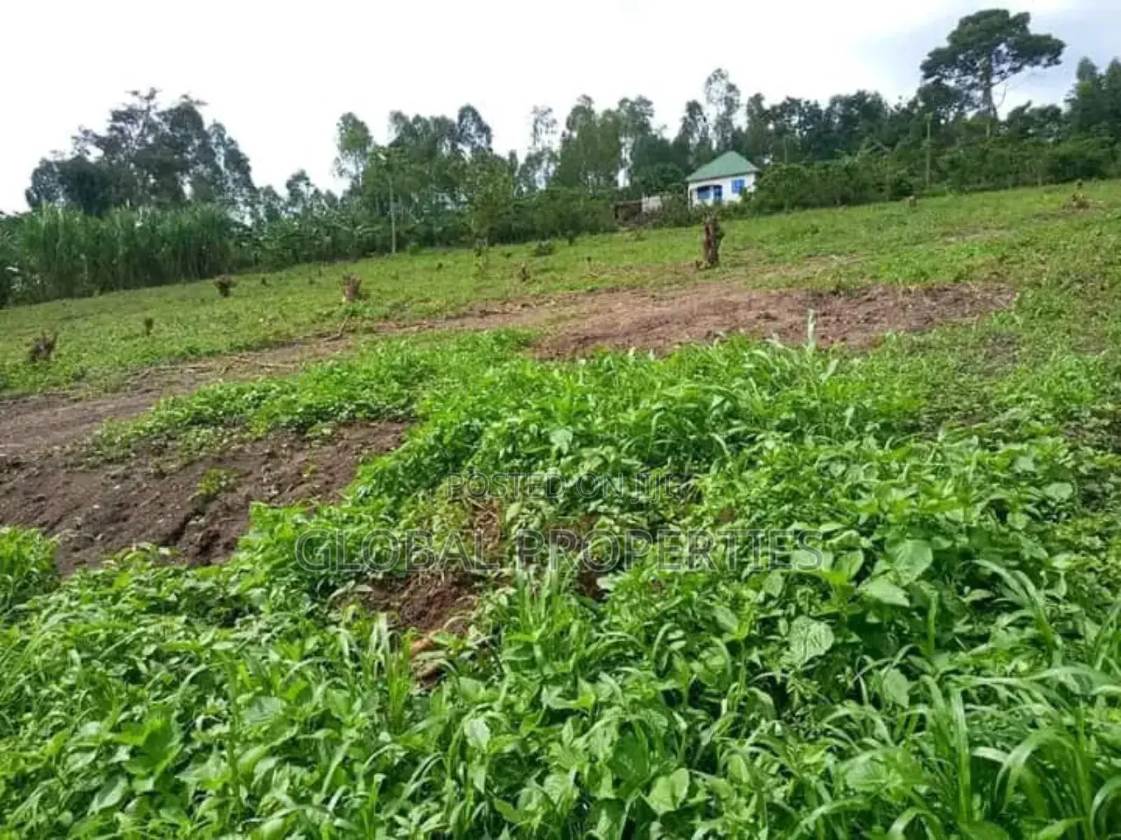 Wakiso Plot for Sale