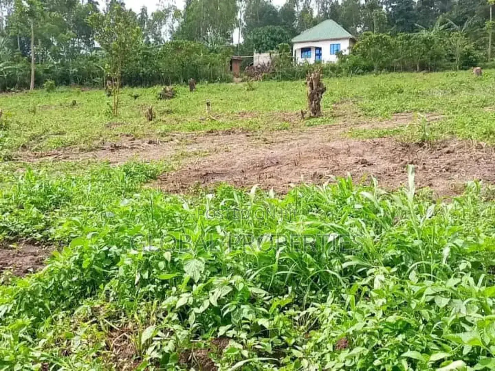 Wakiso Plot for Sale