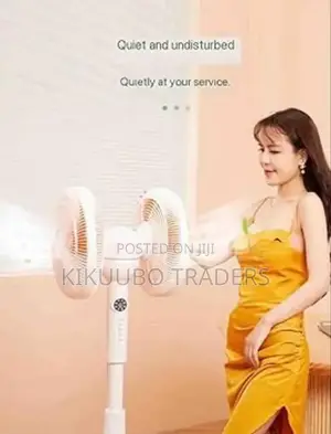 12 Inch Double Sided Stand Fan