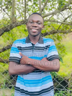 Primary School Mathematics Teacher