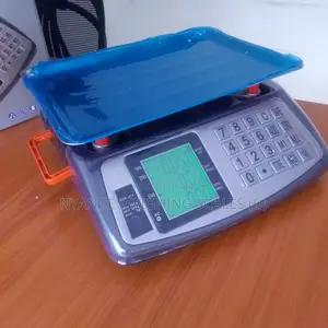 Food Spices Seller Weighing Scale 40kg Weigh Digital Weighing Scale