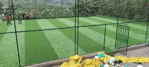 Mixed Turf Grass Carpet