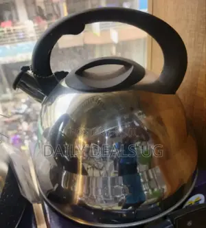 Stainless Electric Kettle