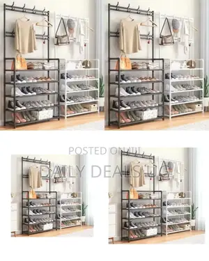 Metallic Double Hat and Shoe Rack