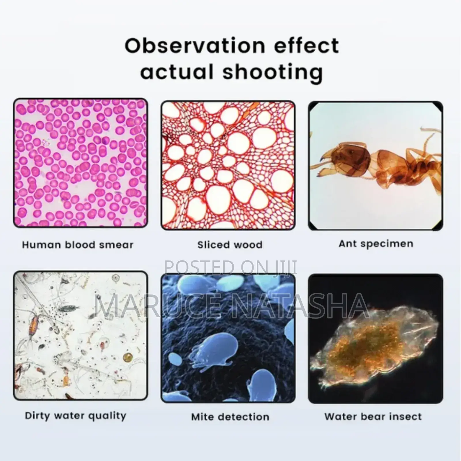 Digital Microscope With LCD Screen