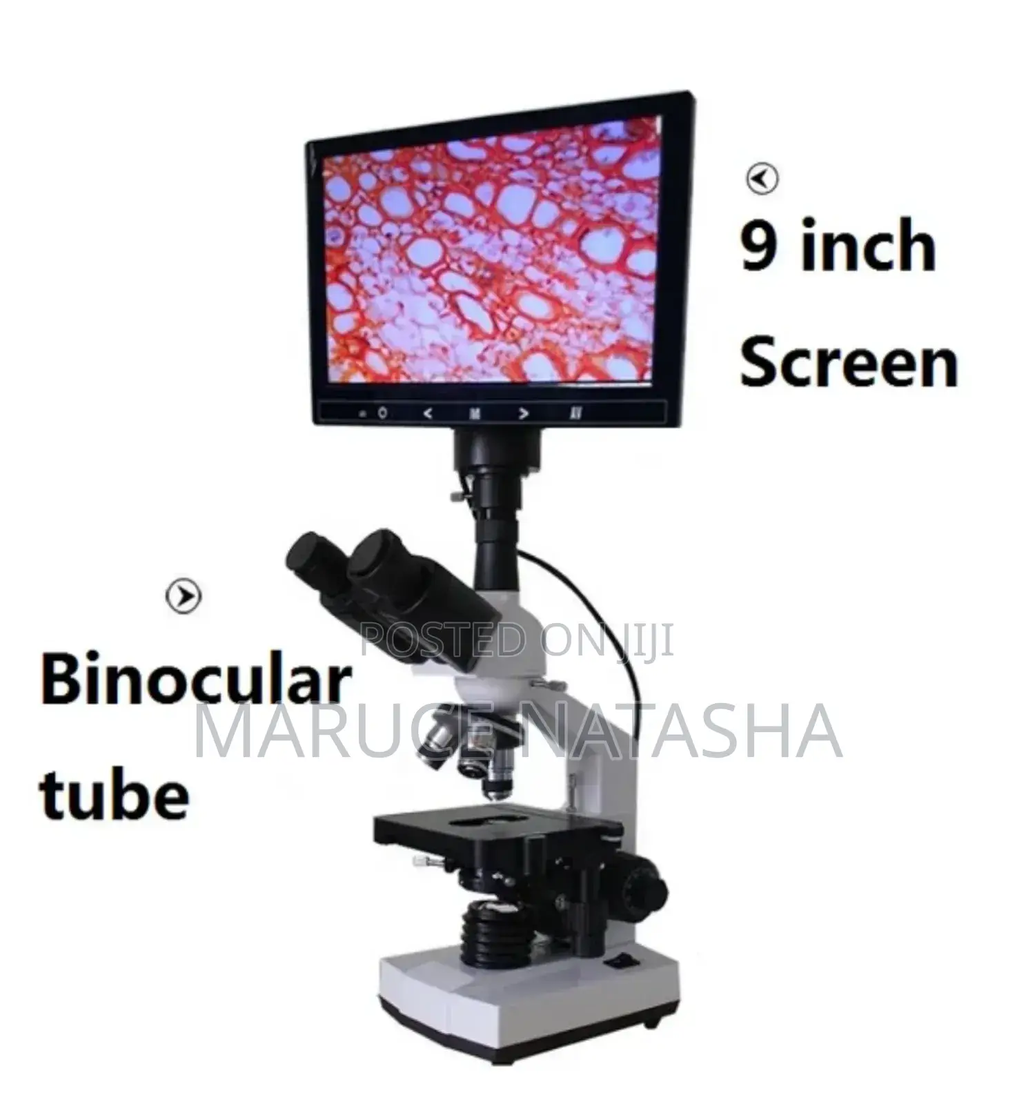 Trinocular Microscope