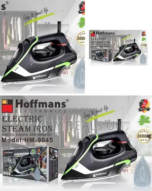 Electric Hoffman Stream Iron