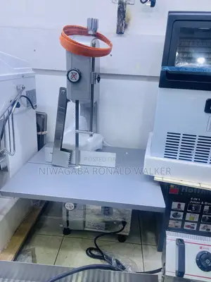 Big Commercial Electric Bone Saw Machine