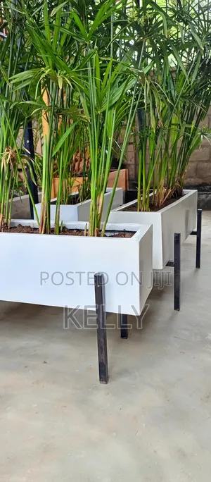 Indoor and Outdoor Flower Pots Available