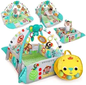 Baby Play Gym