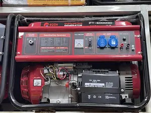 PT-6000W Gasoline/Gas Key Start Generator