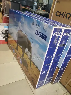 Fol 55 Vga Smart Tv