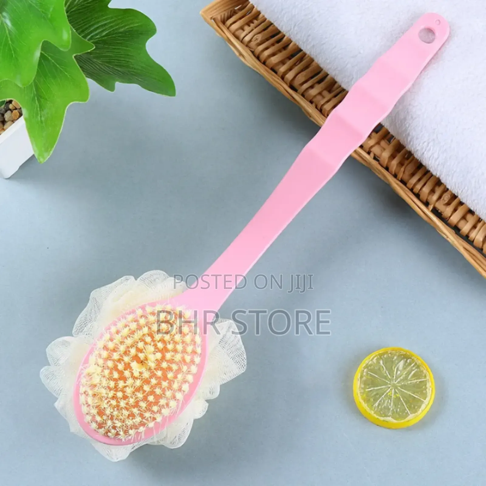 Shower Brushes