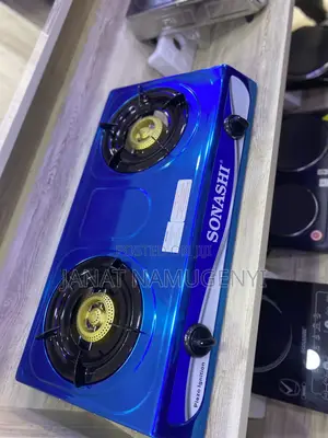 Double Plate Gas Cooker