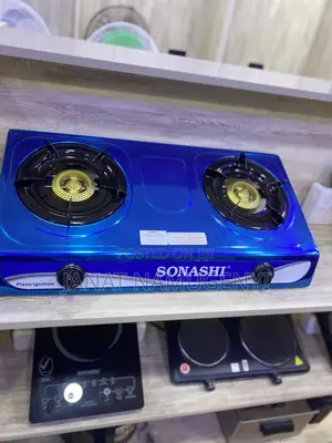 Double Plate Gas Cooker