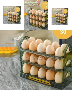 Plastic Egg Storage Drawer