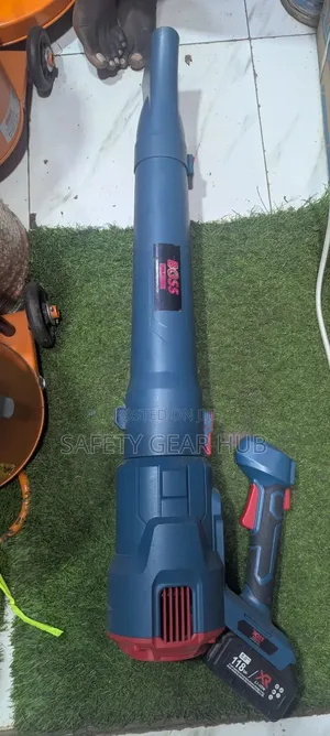 Rechargeable Blowers