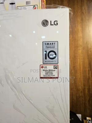 LG 320 Litre Fridge Double Door