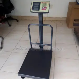 Exporter Weigh Accurate Weighing Scale 350kg Digital Weigh Scale