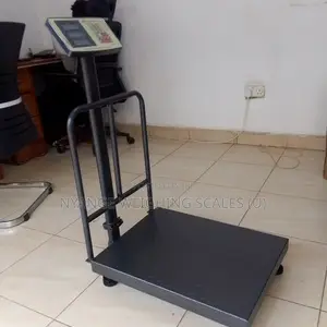 Digital Weighing Scale Shop 400kg Weigh Price Accurate Weighing Scale