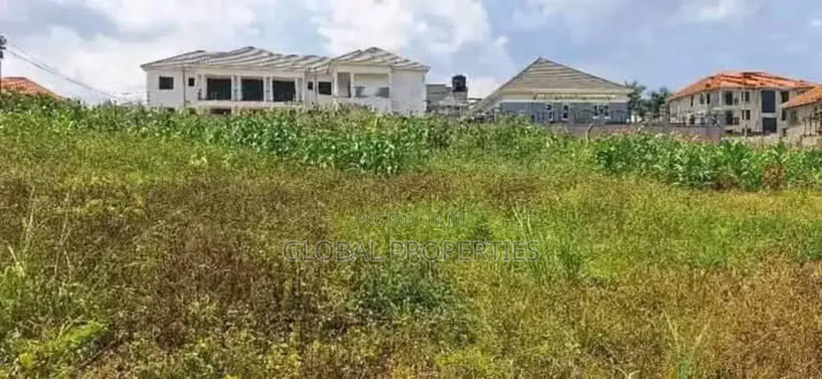 Kira Plot Available for Sale