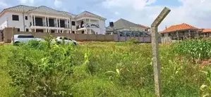 Kira Plot Available for Sale