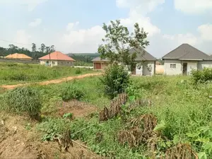 Kira Plot Available for Sale