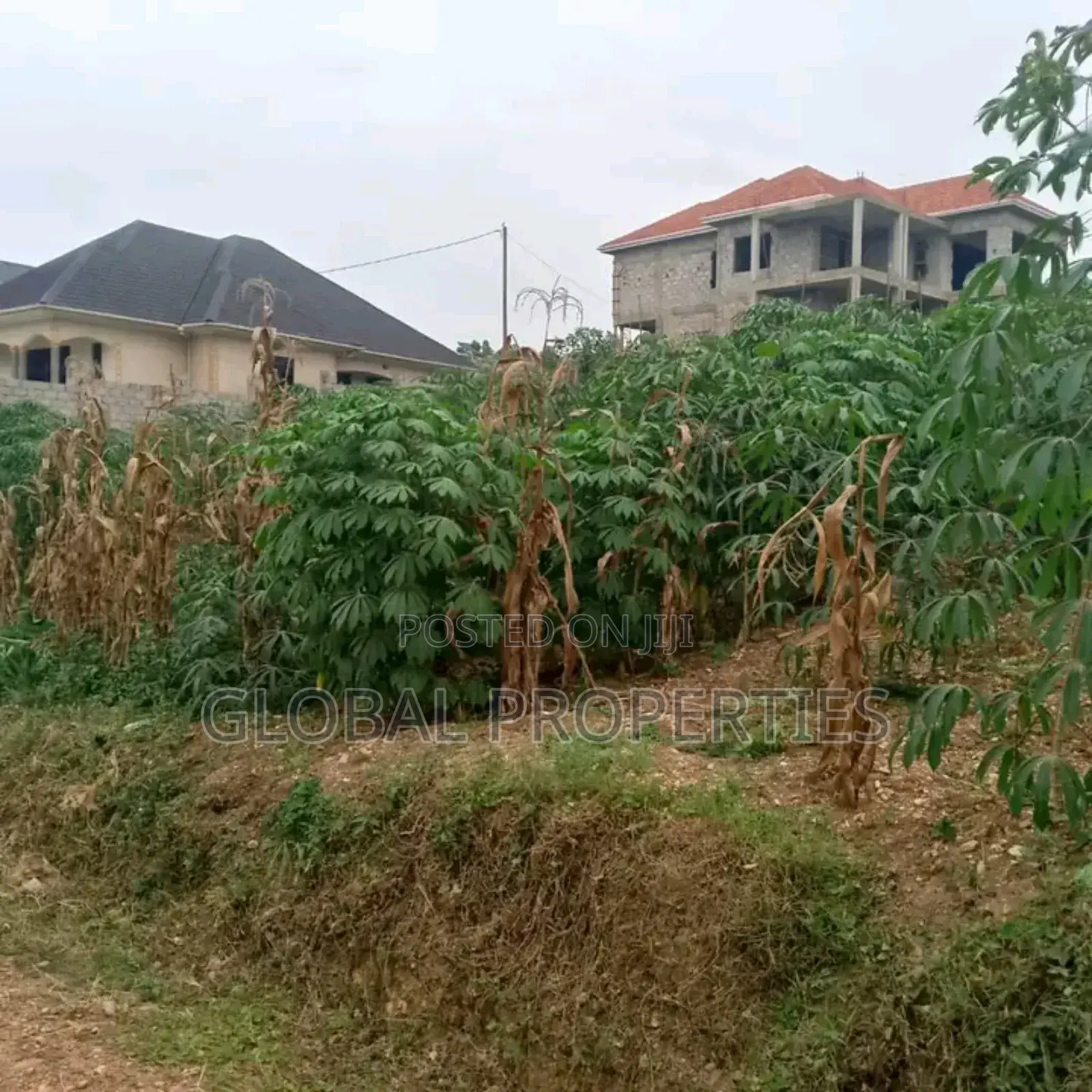 Ssonde Plot on Sale