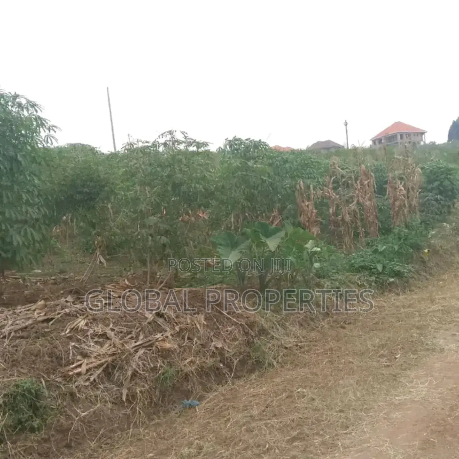 Ssonde Plot on Sale