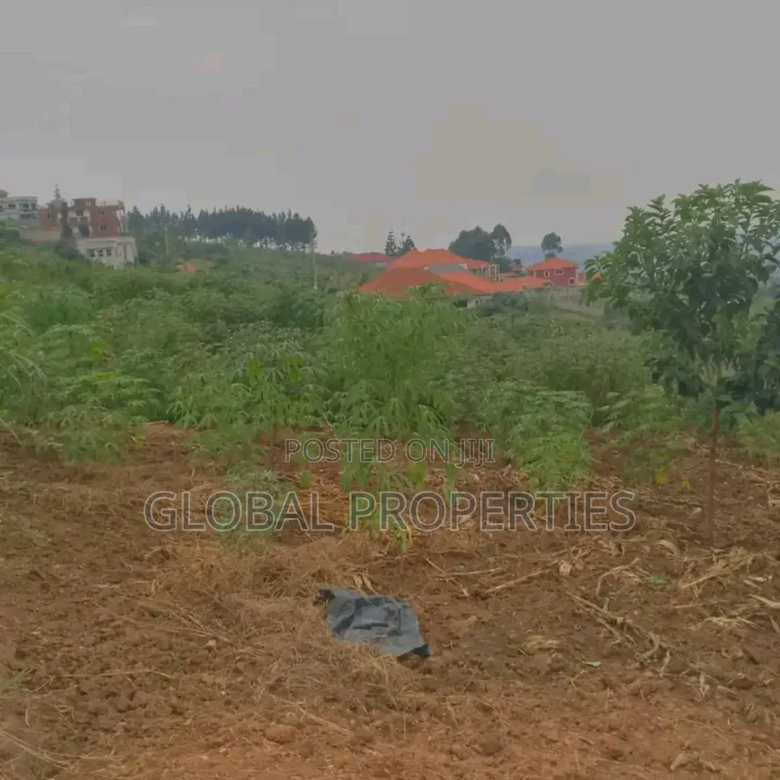 Ssonde Plot on Sale