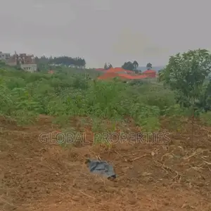 Ssonde Plot on Sale
