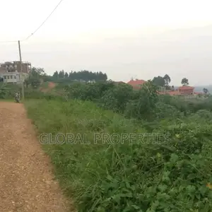 Ssonde Plot on Sale