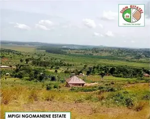 Affordable Land for Sale in Impigi Along Masaka Road