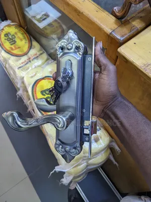 Luxury Door Lock