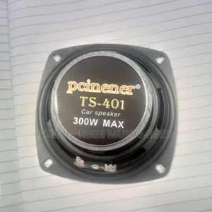 Car Speakers TS 401