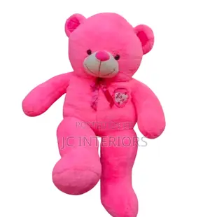 Hot Pink Teddy Bear