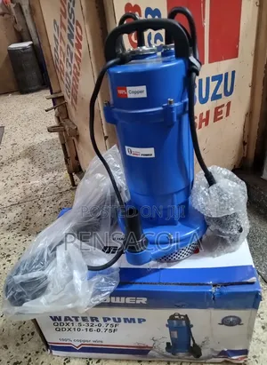 Submersible Water Pump 108.9feet (33m)